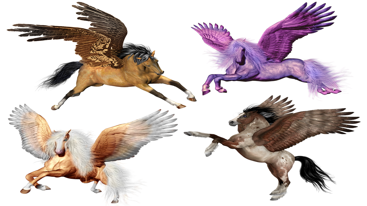 pegasus-muokattu_koko.png