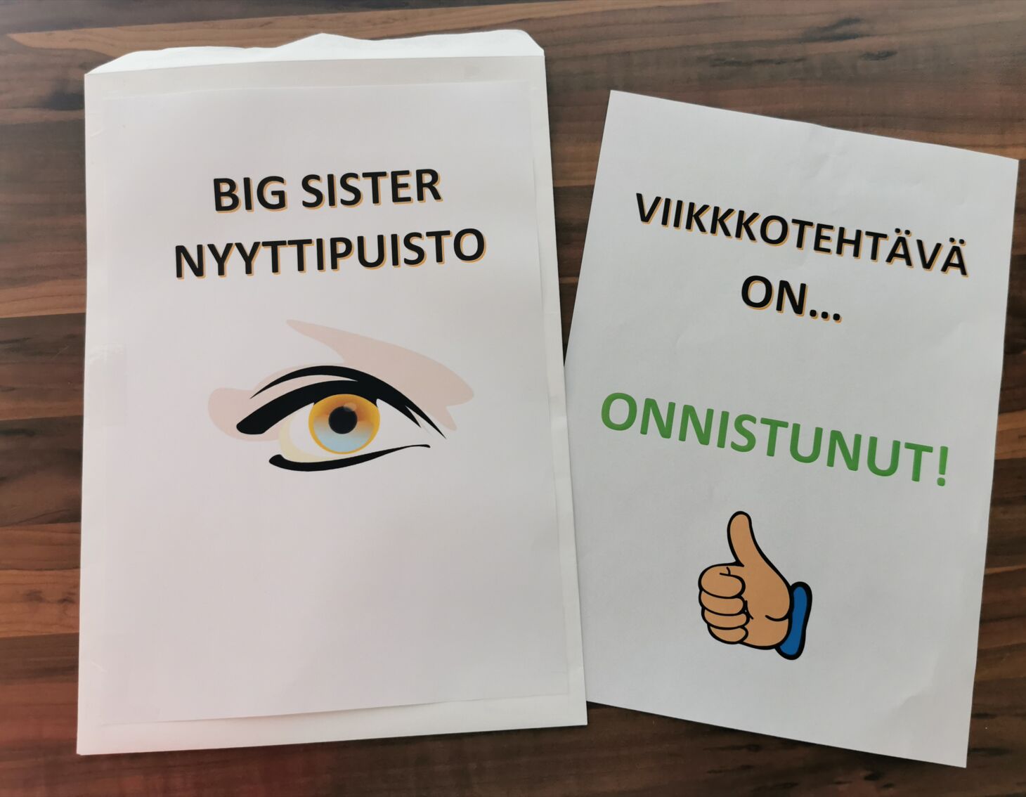 Big sister Nyyttipuisto.jpg